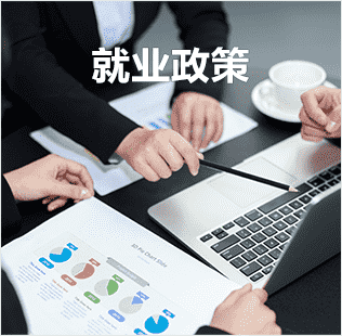 就業(yè)政策